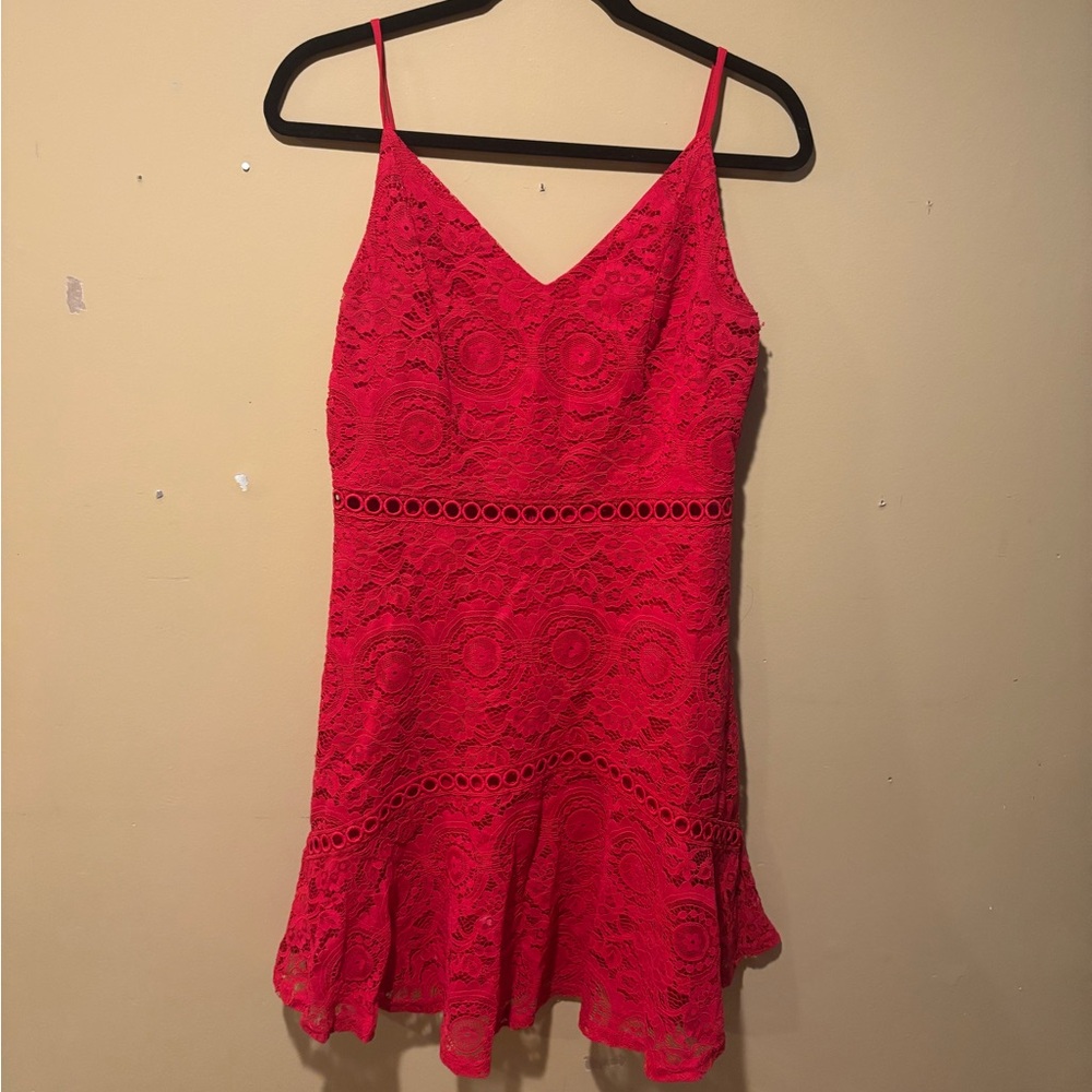 Francesca's Red Lace Mini Dress